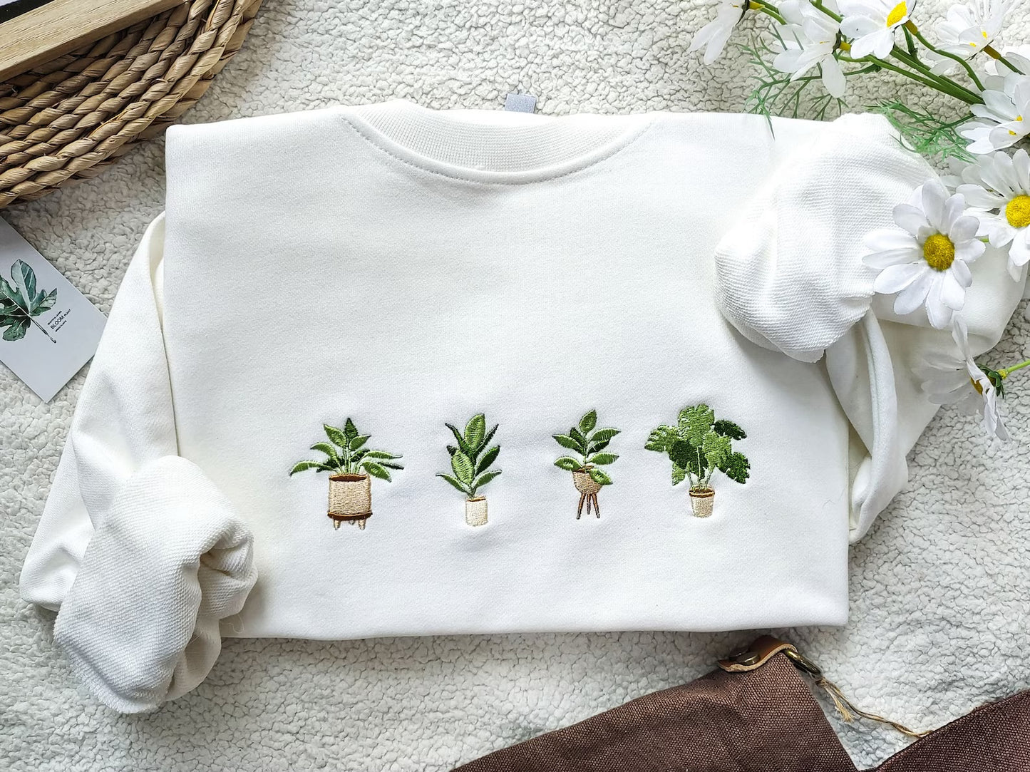 Plantes