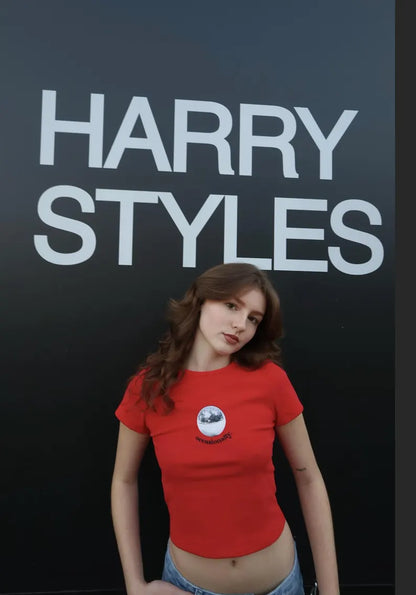 Harry styles - Disco